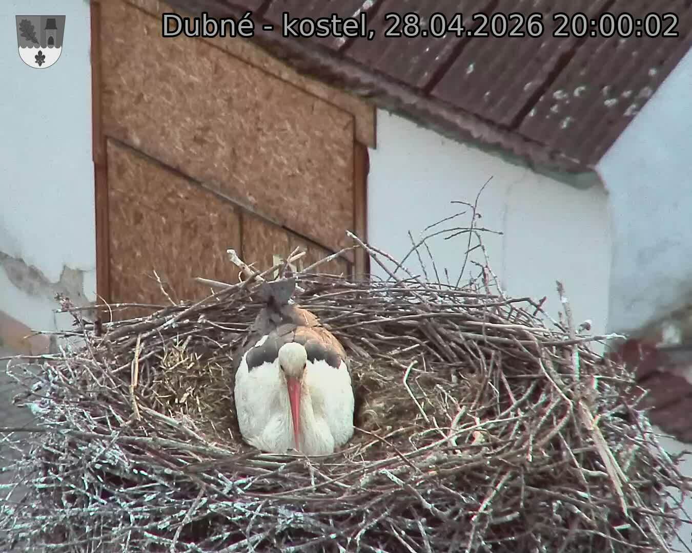 Capi_Dubne_20260428_200002.jpg (1350&nbsp;x&nbsp;1080)