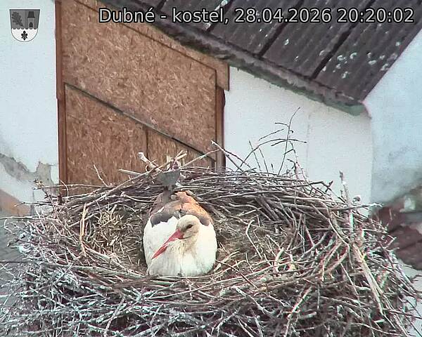 Capi_Dubne_20260428_202002.jpg (1350&nbsp;x&nbsp;1080)