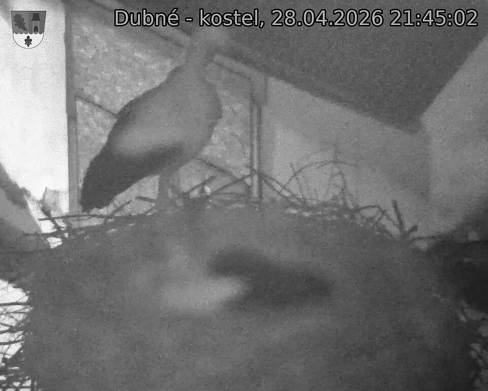 Capi_Dubne_20260428_214502.jpg (1350&nbsp;x&nbsp;1080)