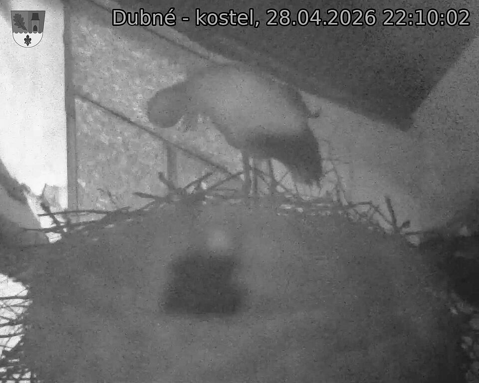 Capi_Dubne_20260428_221002.jpg (1350&nbsp;x&nbsp;1080)