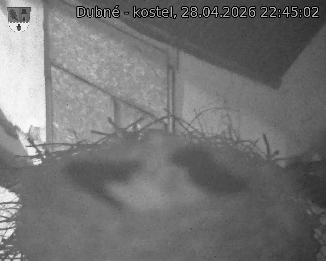 Capi_Dubne_20260428_224502.jpg (1350&nbsp;x&nbsp;1080)