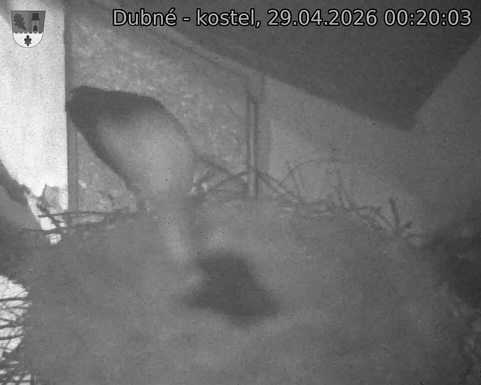 Capi_Dubne_20260429_002003.jpg (1350&nbsp;x&nbsp;1080)
