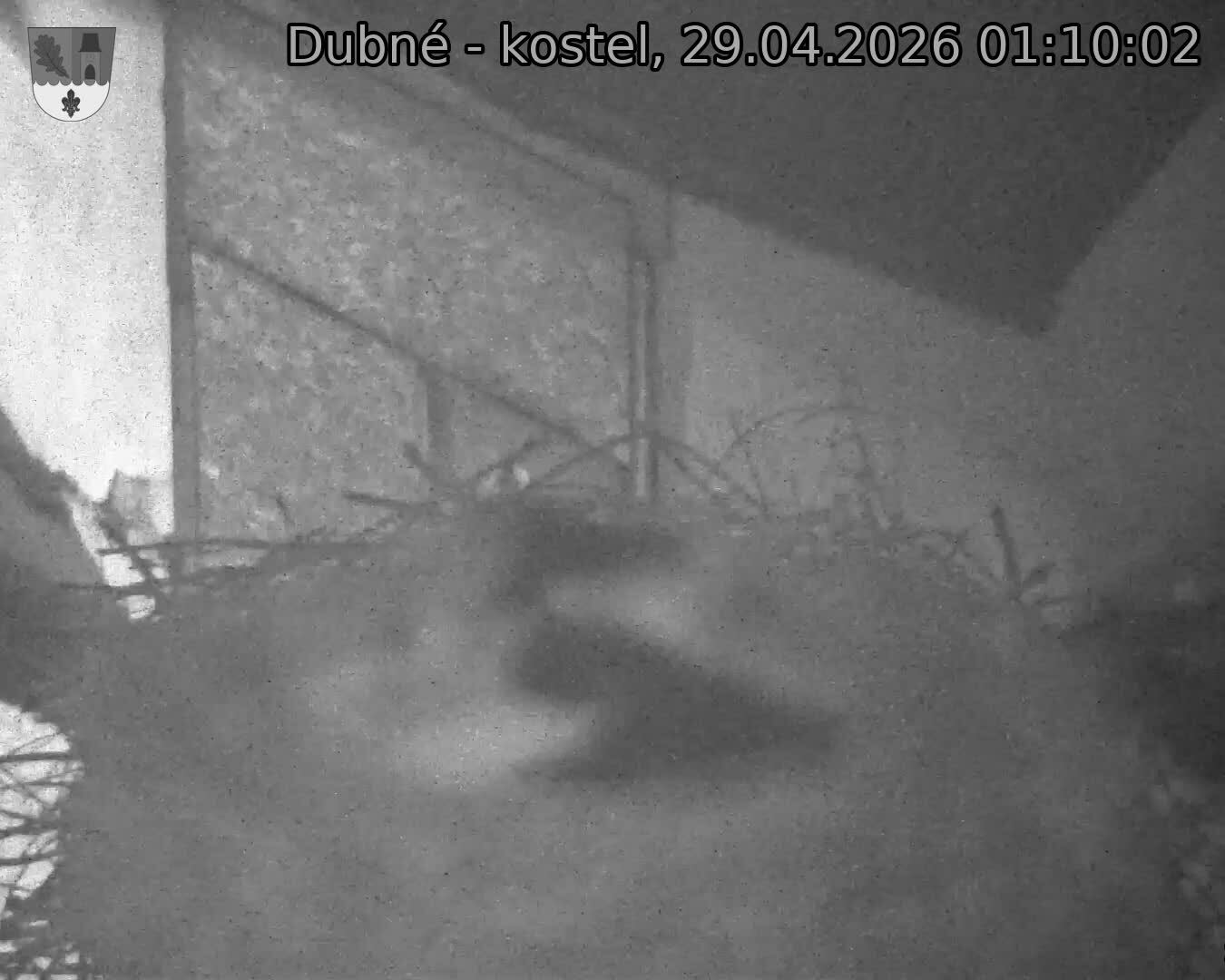 Capi_Dubne_20260429_011002.jpg (1350&nbsp;x&nbsp;1080)