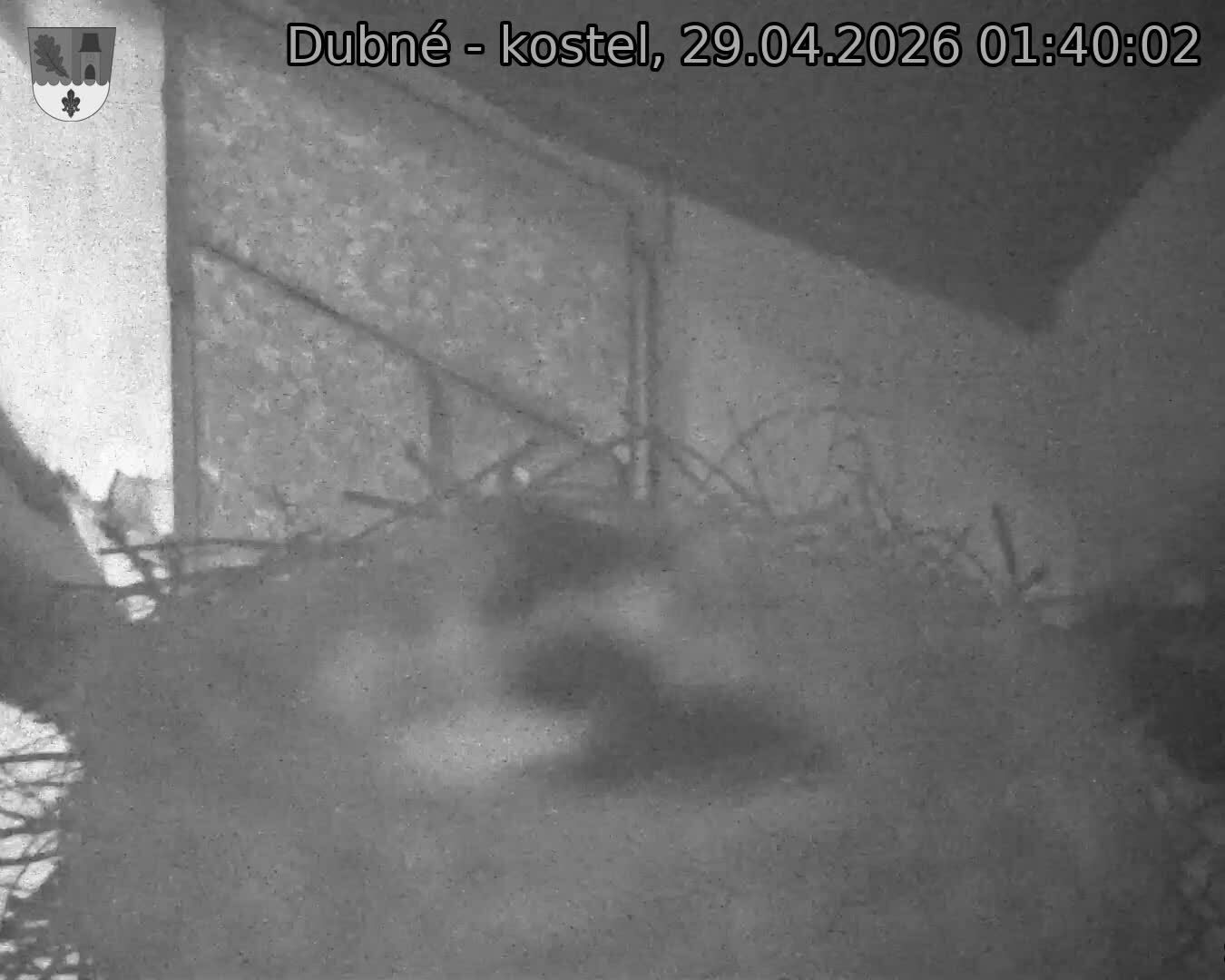 Capi_Dubne_20260429_014002.jpg (1350&nbsp;x&nbsp;1080)