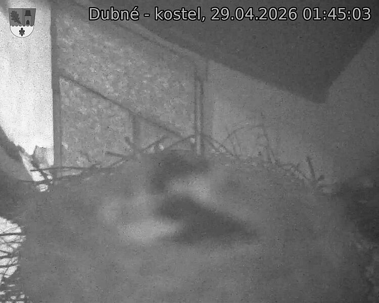 Capi_Dubne_20260429_014503.jpg (1350&nbsp;x&nbsp;1080)