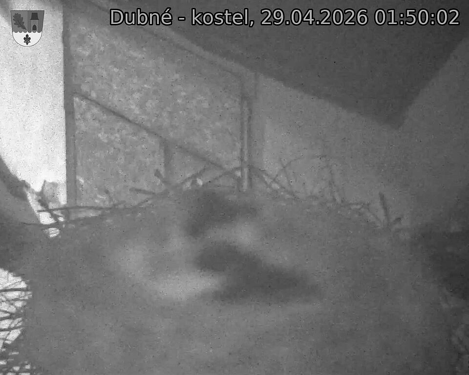 Capi_Dubne_20260429_015002.jpg (1350&nbsp;x&nbsp;1080)