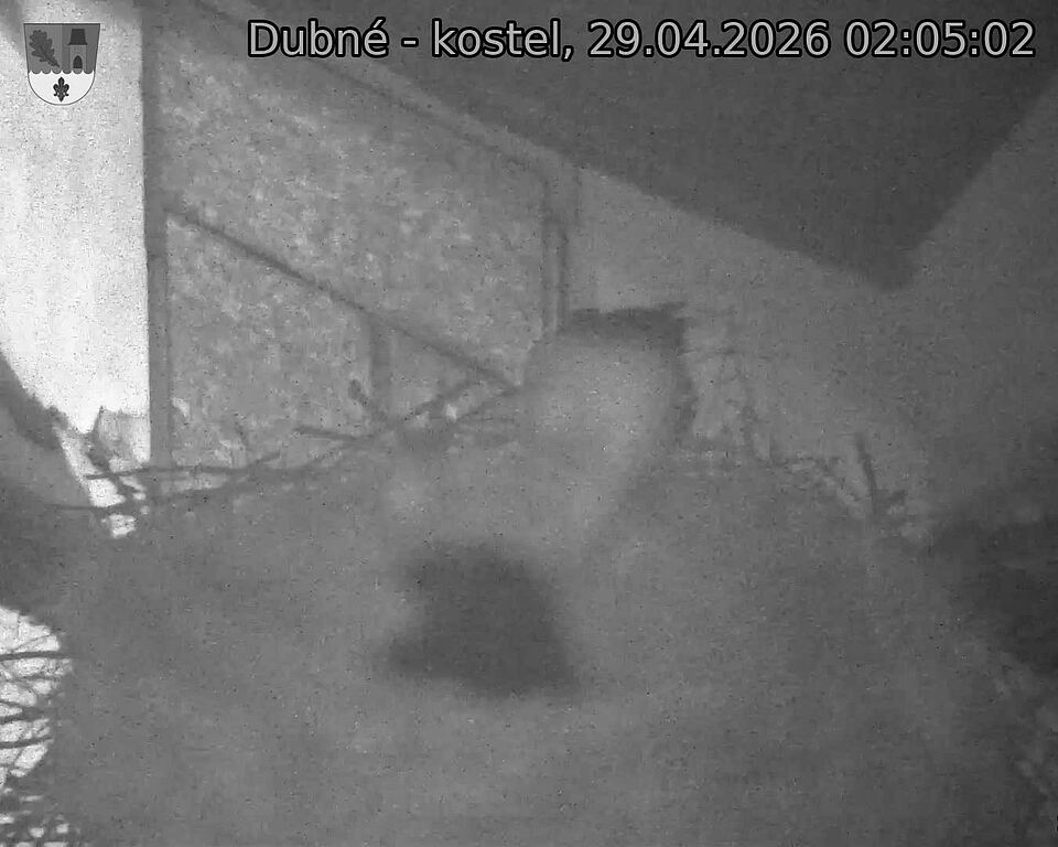 Capi_Dubne_20260429_020502.jpg (1350&nbsp;x&nbsp;1080)