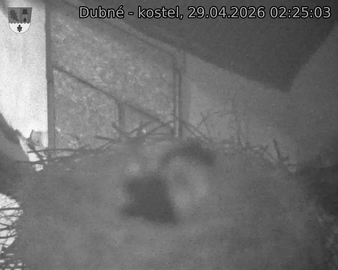 Capi_Dubne_20260429_022503.jpg (1350&nbsp;x&nbsp;1080)