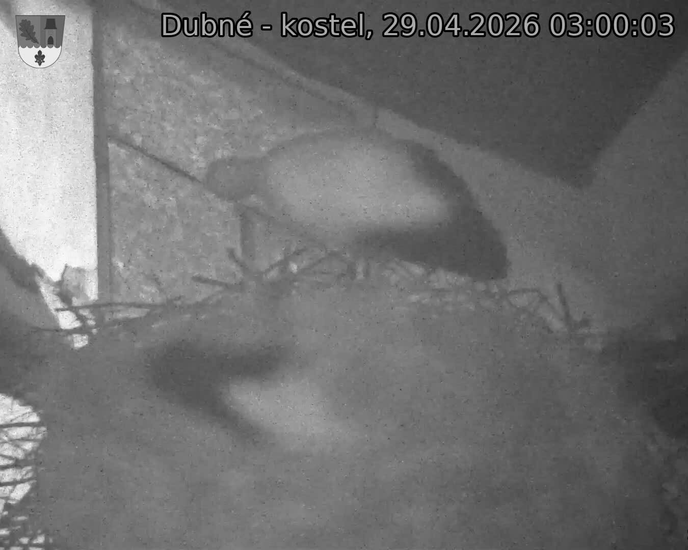 Capi_Dubne_20260429_030003.jpg (1350&nbsp;x&nbsp;1080)