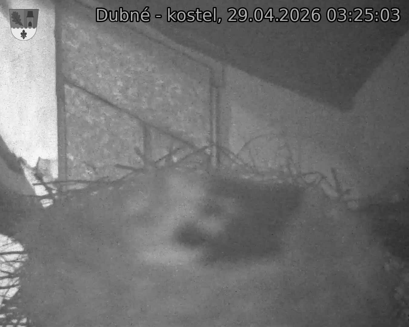 Capi_Dubne_20260429_032503.jpg (1350&nbsp;x&nbsp;1080)