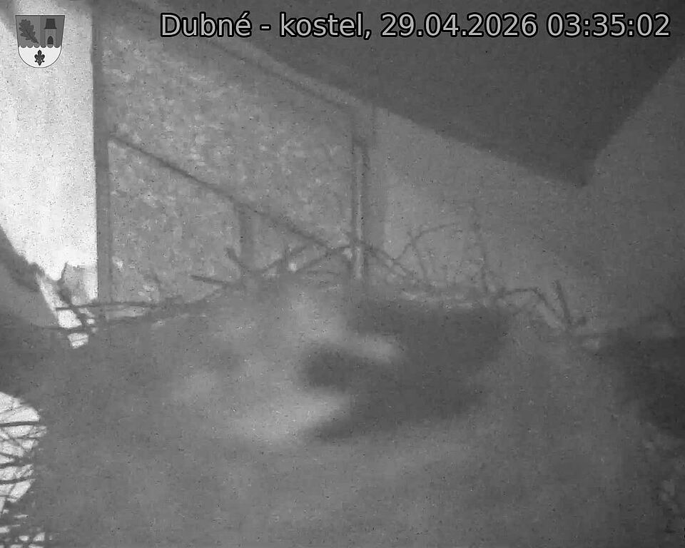 Capi_Dubne_20260429_033502.jpg (1350&nbsp;x&nbsp;1080)