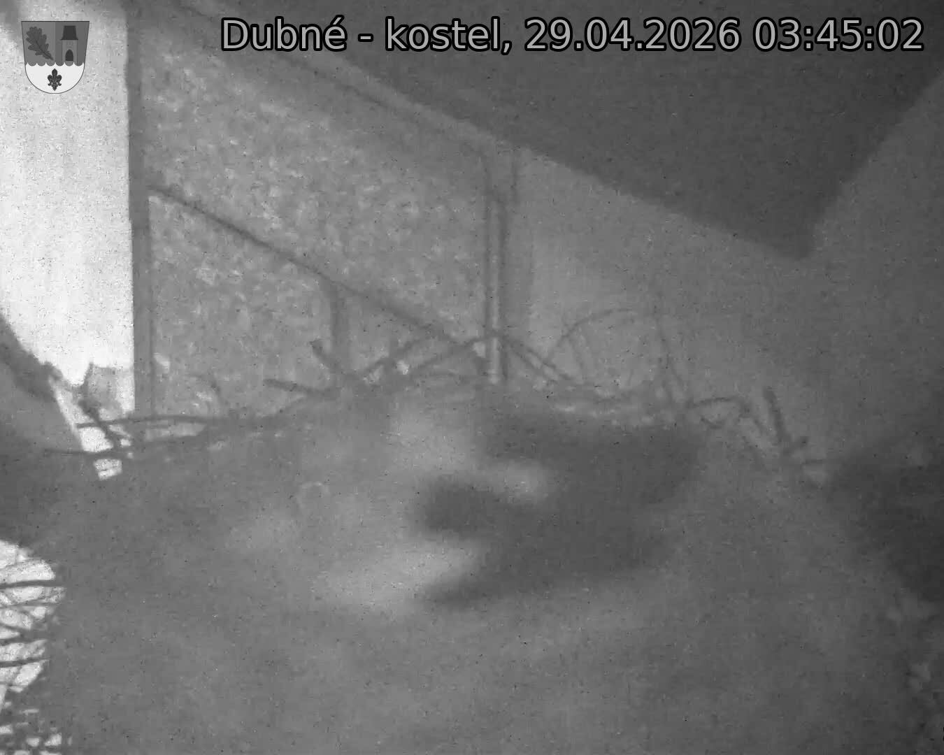 Capi_Dubne_20260429_034502.jpg (1350&nbsp;x&nbsp;1080)