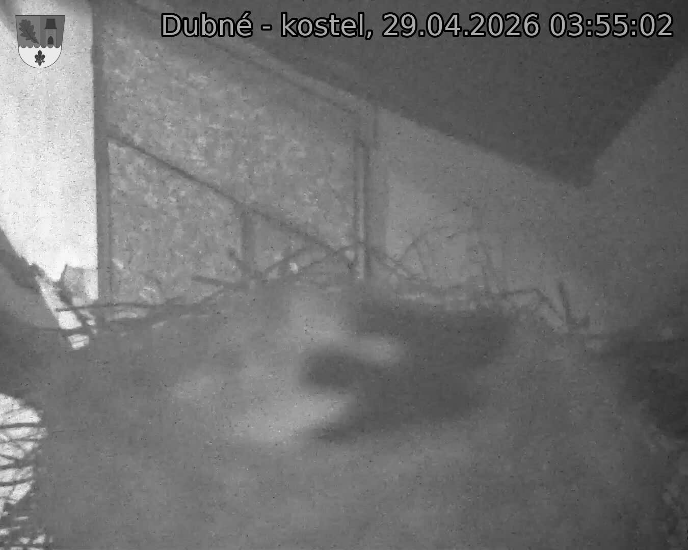 Capi_Dubne_20260429_035502.jpg (1350&nbsp;x&nbsp;1080)