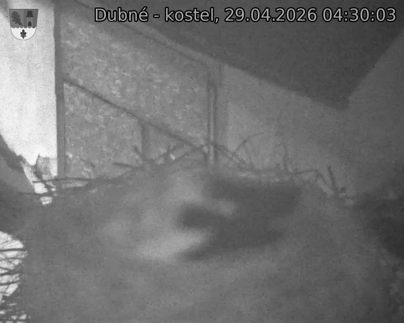 Capi_Dubne_20260429_043003.jpg (1350&nbsp;x&nbsp;1080)