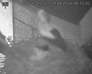 Capi_Dubne_20260429_045502.jpg (1350&nbsp;x&nbsp;1080)