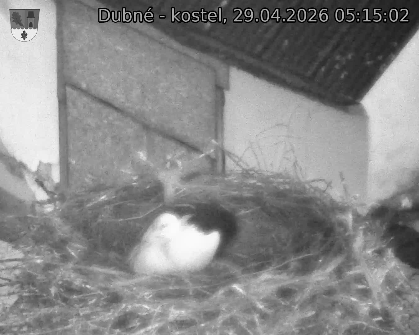 Capi_Dubne_20260429_051502.jpg (1350&nbsp;x&nbsp;1080)