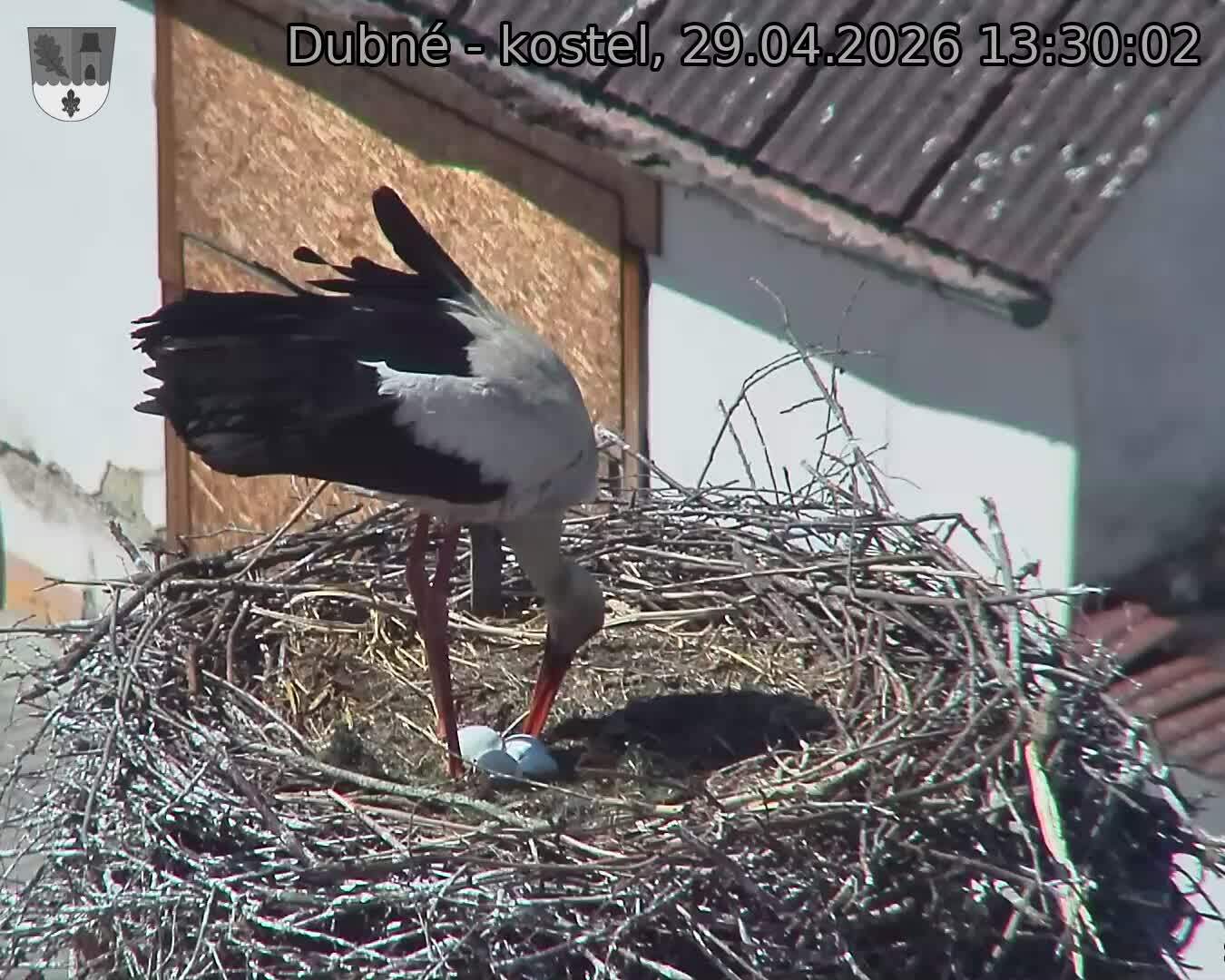 Capi_Dubne_20260429_133003.jpg (1350&nbsp;x&nbsp;1080)