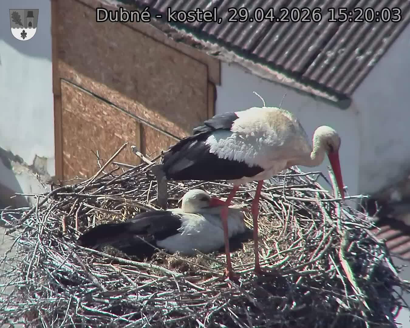 Capi_Dubne_20260429_152003.jpg (1350&nbsp;x&nbsp;1080)