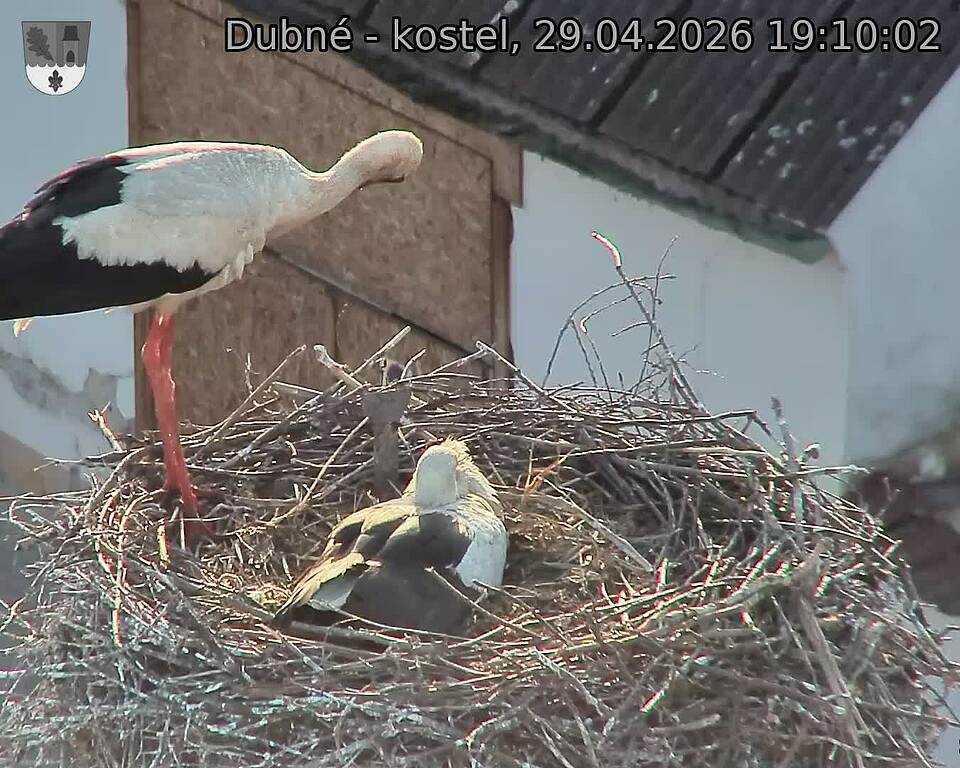 Capi_Dubne_20260429_191002.jpg (1350&nbsp;x&nbsp;1080)