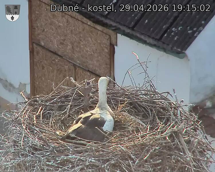 Capi_Dubne_20260429_191502.jpg (1350&nbsp;x&nbsp;1080)