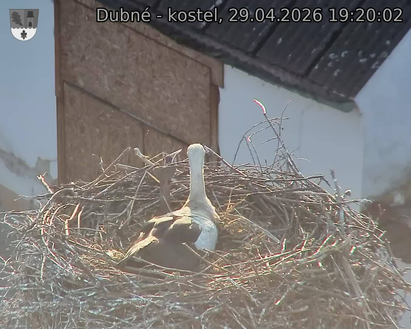 Capi_Dubne_20260429_192002.jpg (1350&nbsp;x&nbsp;1080)
