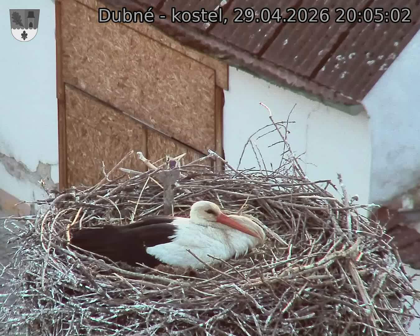 Capi_Dubne_20260429_200502.jpg (1350&nbsp;x&nbsp;1080)