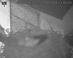 Capi_Dubne_20260429_230503.jpg