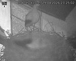 Capi_Dubne_20260429_232502.jpg