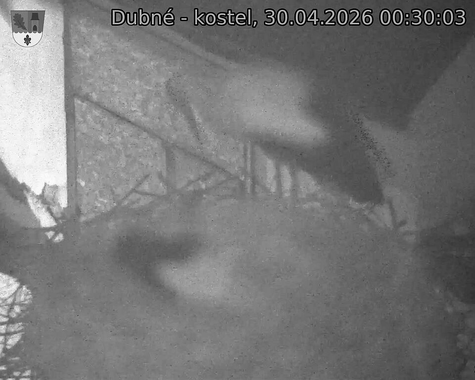 Capi_Dubne_20260430_003003.jpg (1350&nbsp;x&nbsp;1080)