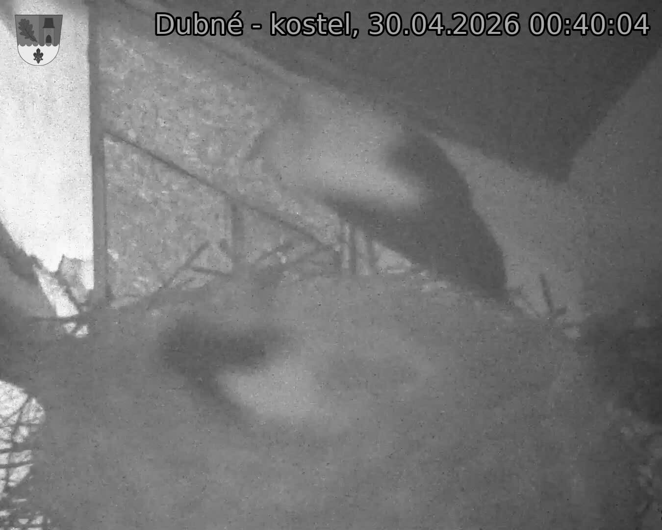 Capi_Dubne_20260430_004004.jpg (1350&nbsp;x&nbsp;1080)