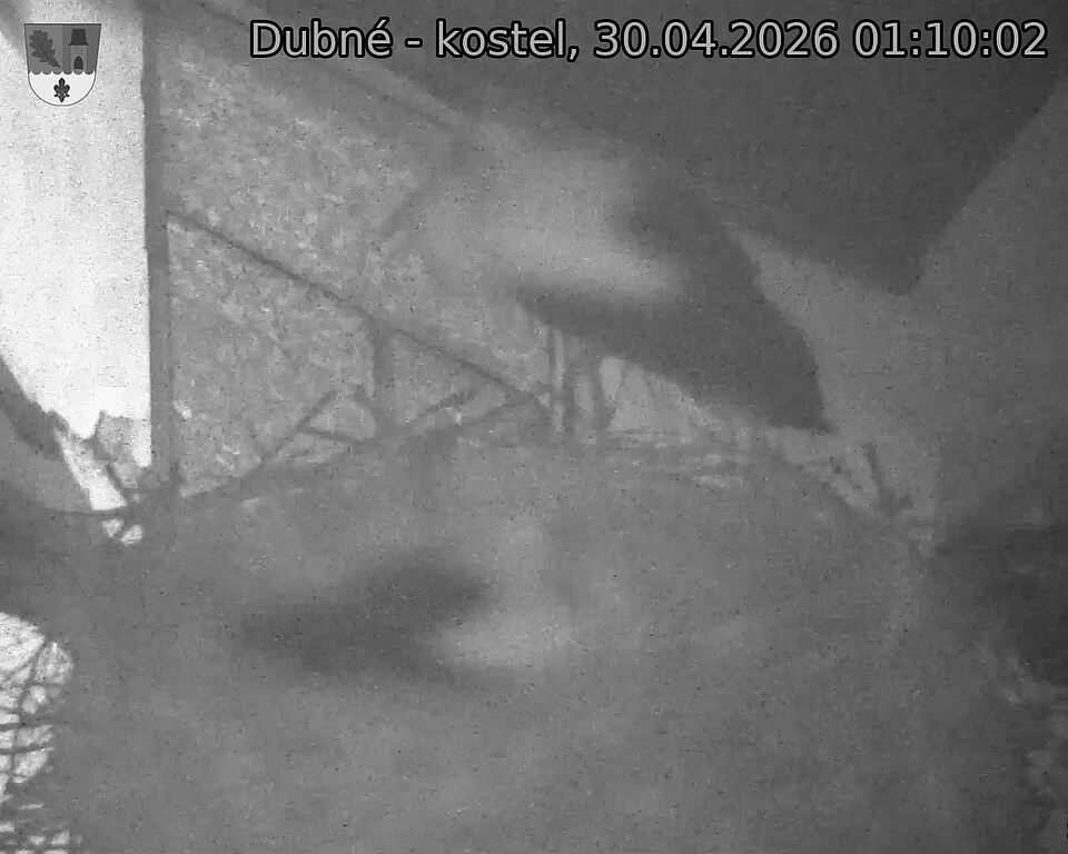 Capi_Dubne_20260430_011002.jpg (1350&nbsp;x&nbsp;1080)