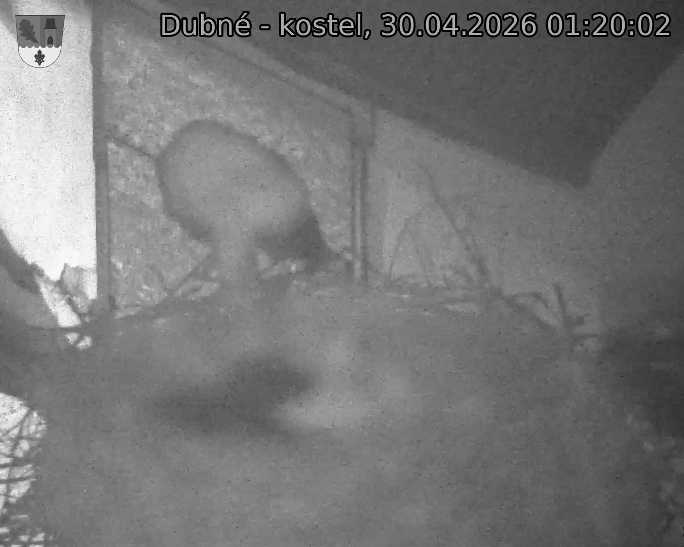 Capi_Dubne_20260430_012002.jpg (1350&nbsp;x&nbsp;1080)
