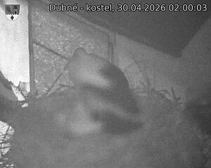 Capi_Dubne_20260430_020003.jpg (1350&nbsp;x&nbsp;1080)