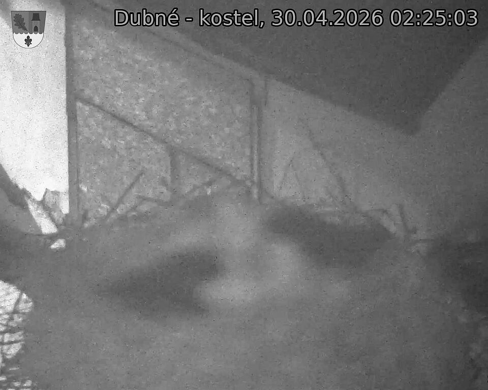 Capi_Dubne_20260430_022503.jpg (1350&nbsp;x&nbsp;1080)