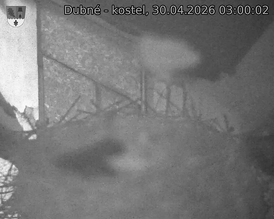 Capi_Dubne_20260430_030002.jpg (1350&nbsp;x&nbsp;1080)