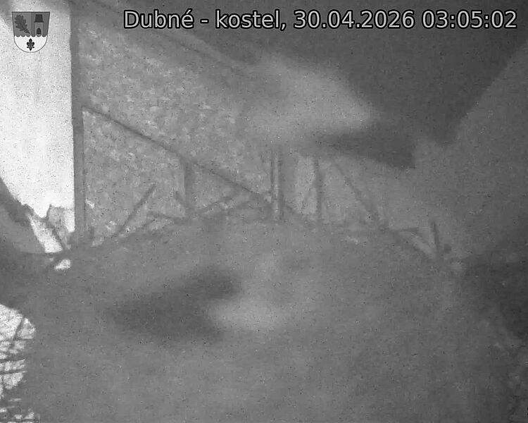 Capi_Dubne_20260430_030502.jpg (1350&nbsp;x&nbsp;1080)