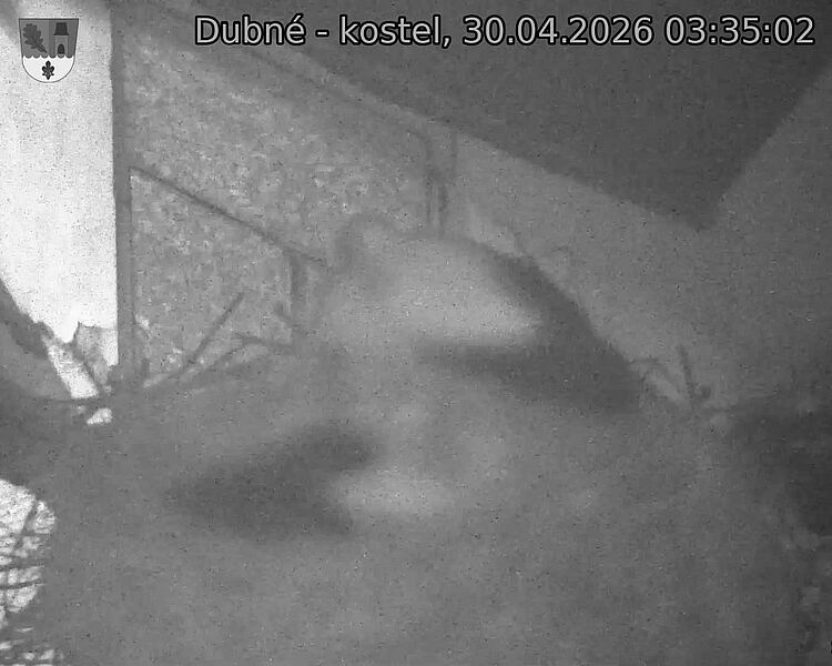 Capi_Dubne_20260430_033502.jpg (1350&nbsp;x&nbsp;1080)