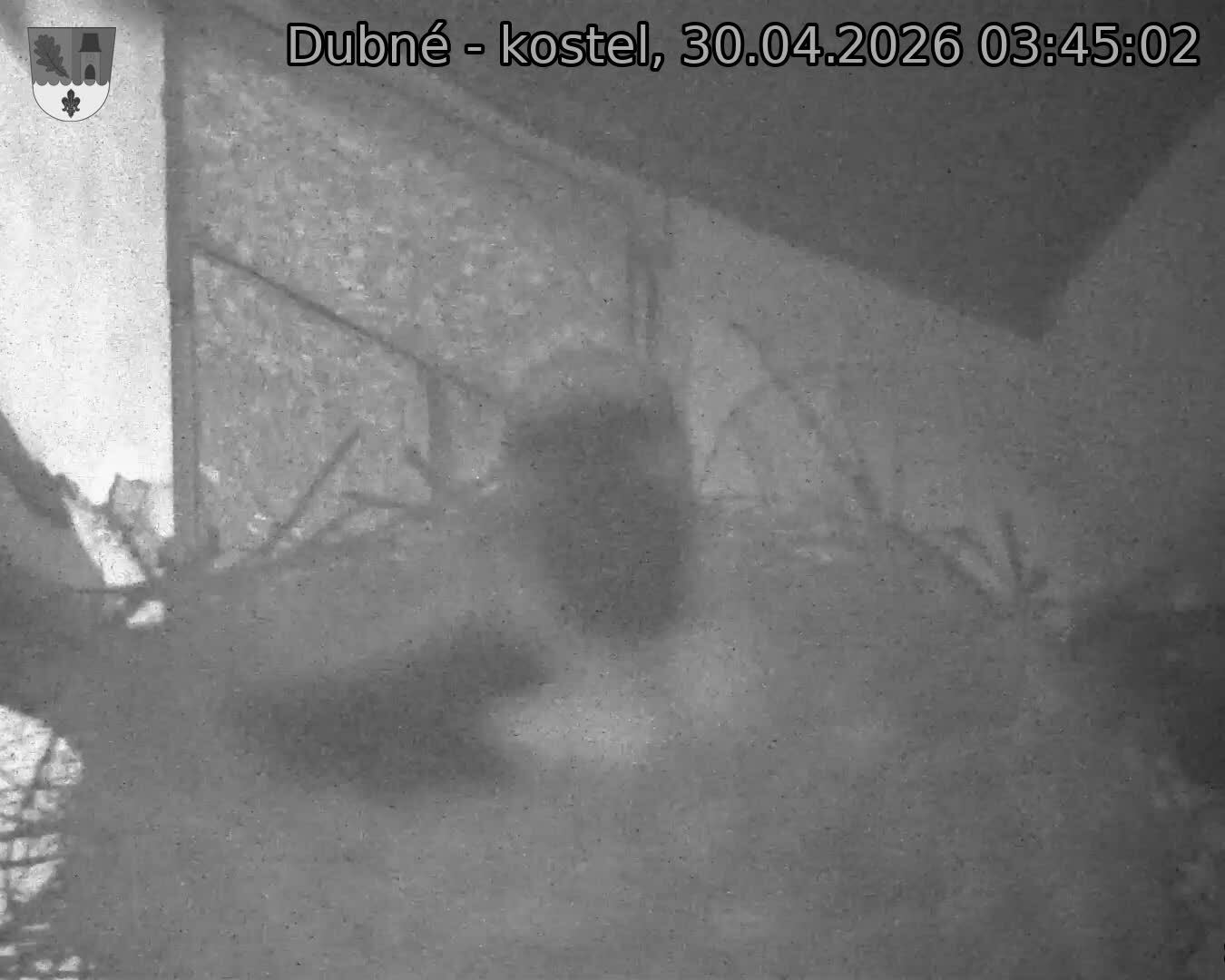 Capi_Dubne_20260430_034502.jpg (1350&nbsp;x&nbsp;1080)