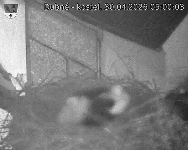 Capi_Dubne_20260430_050003.jpg (1350&nbsp;x&nbsp;1080)