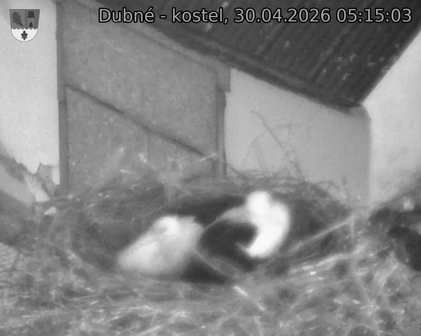 Capi_Dubne_20260430_051503.jpg (1350&nbsp;x&nbsp;1080)