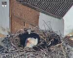 Capi_Dubne_20260430_071003.jpg