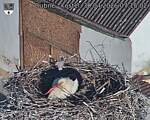 Capi_Dubne_20260430_071502.jpg