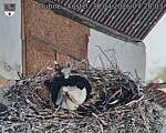 Capi_Dubne_20260430_072003.jpg