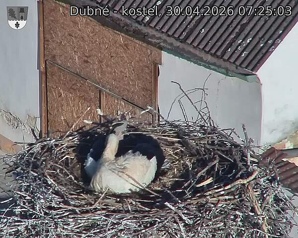 preload