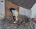 Capi_Dubne_20260430_074003.jpg