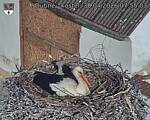 Capi_Dubne_20260430_075503.jpg