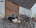 Capi_Dubne_20260430_080503.jpg