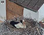 Capi_Dubne_20260430_082003.jpg