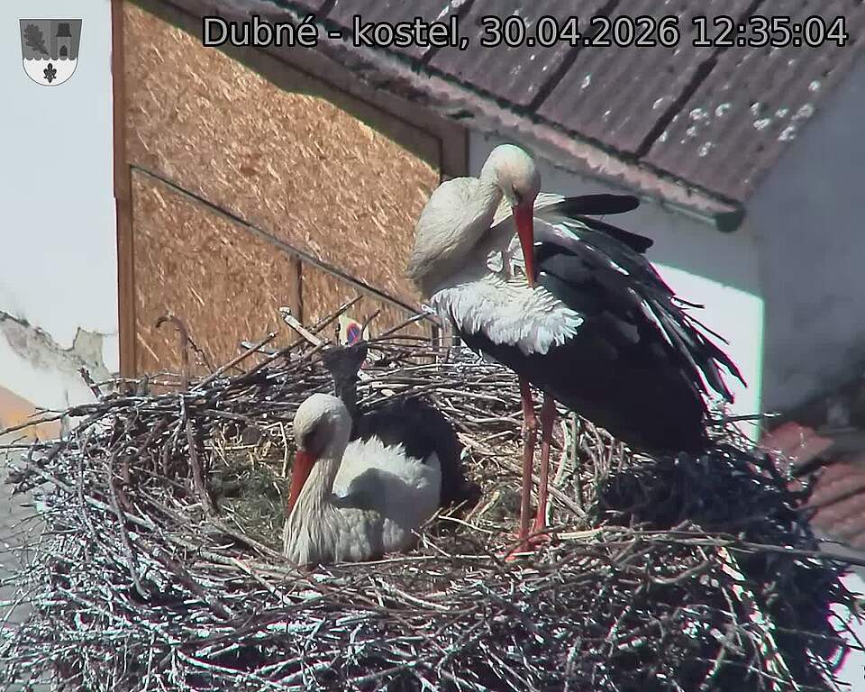 Capi_Dubne_20260430_123504.jpg (1350&nbsp;x&nbsp;1080)