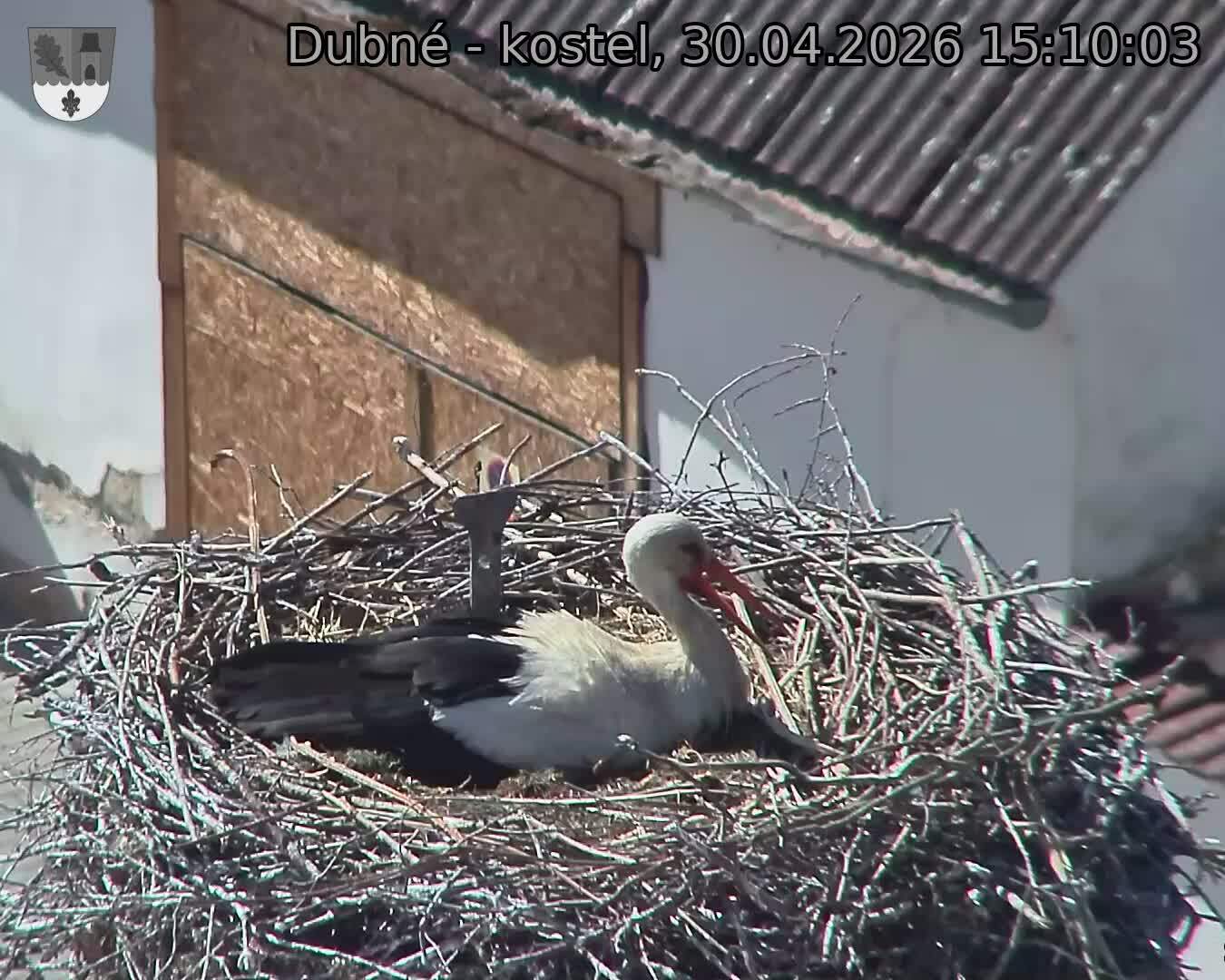 Capi_Dubne_20260430_151003.jpg (1350&nbsp;x&nbsp;1080)